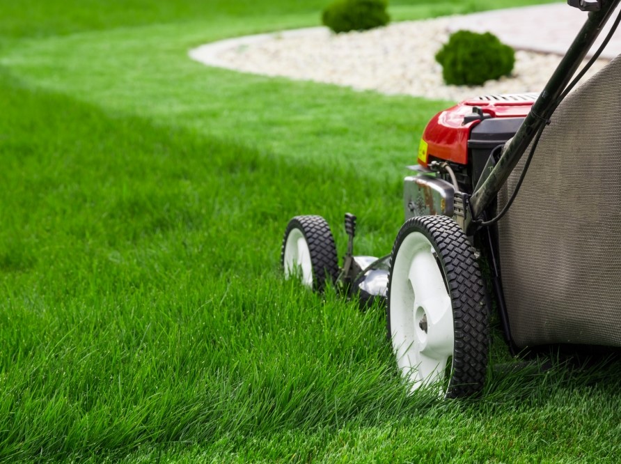Entretien espaces verts